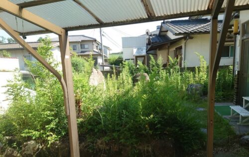 before画像