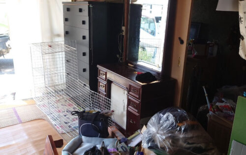 before画像
